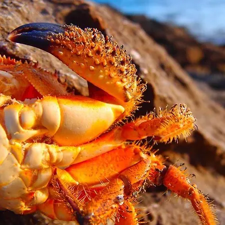 Appartement To Pithari