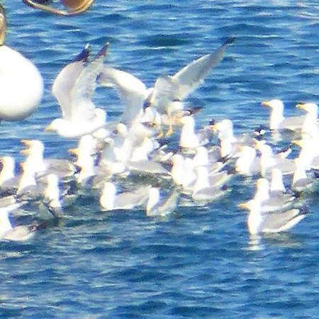 Appartement To Pithari Skála Marión