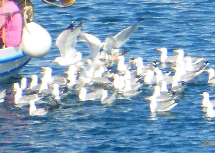 Lejlighed To Pithari Skála Marión